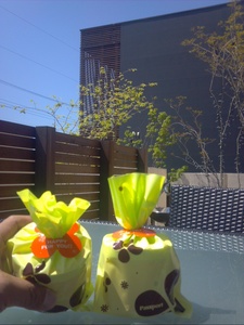 2013-04-13.jpg